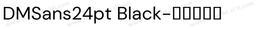 DMSans24pt Black字体转换